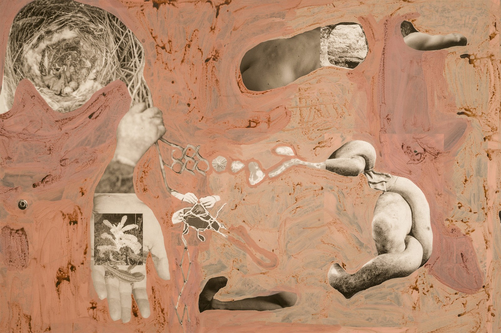 圖十二、《地勢 (關于時間，關于身體)》 (細節(jié)圖)，O?zlem Alt?n，2019